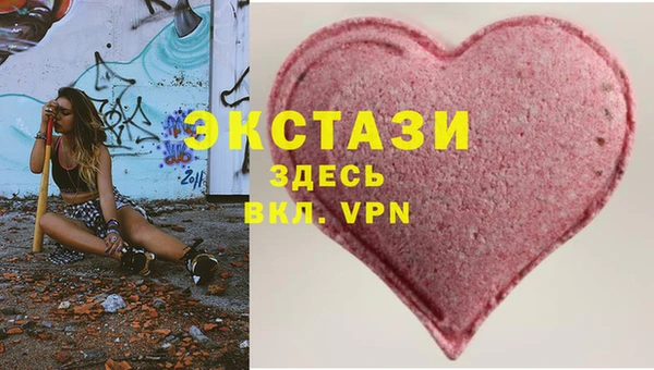 хмурый Аркадак