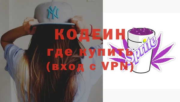 хмурый Аркадак