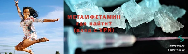хмурый Аркадак